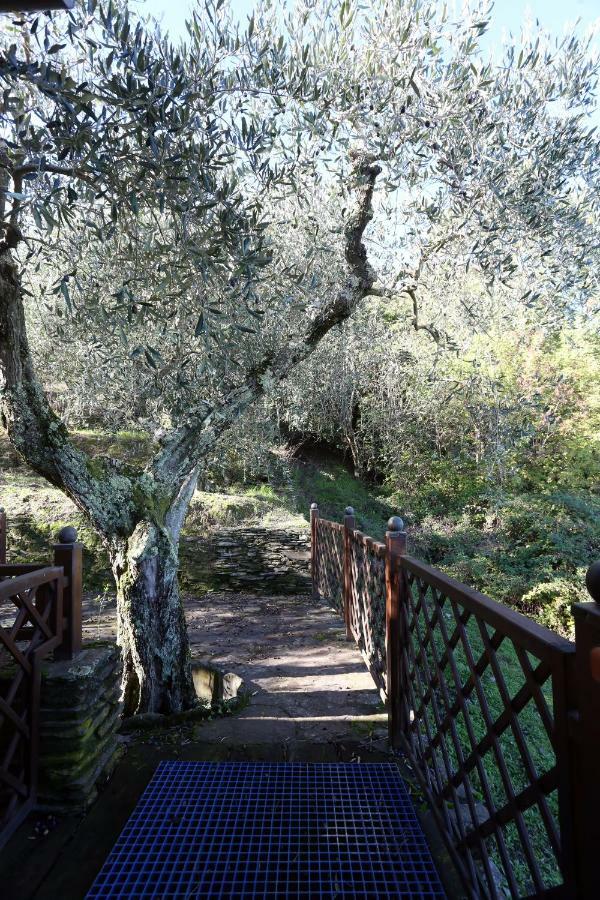 Molino Del Rotone Guest House Buti Exterior foto